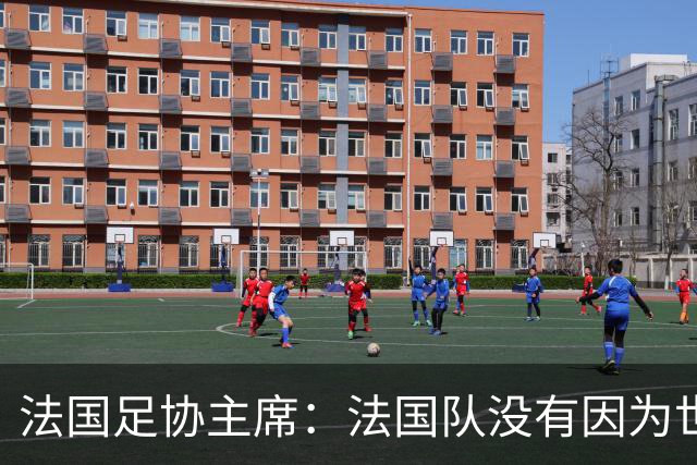 法国足协主席：法国队没有因为世界杯奖金问题而气氛紧张