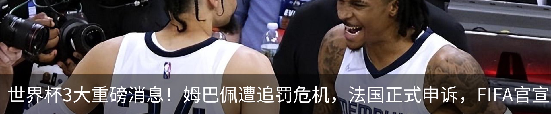 新闻动态