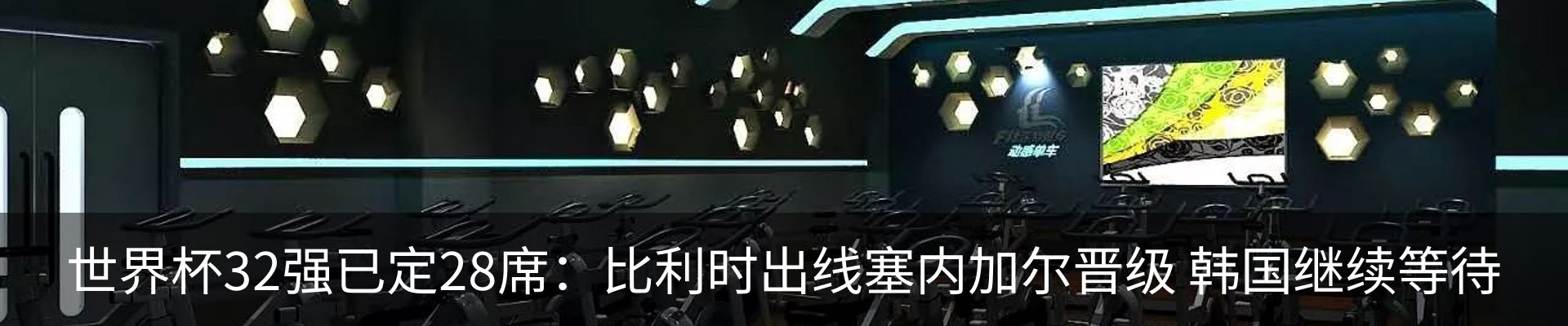 新闻动态