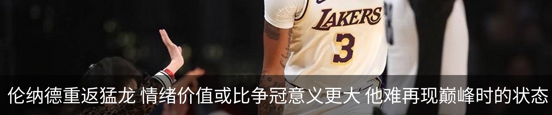 新闻动态