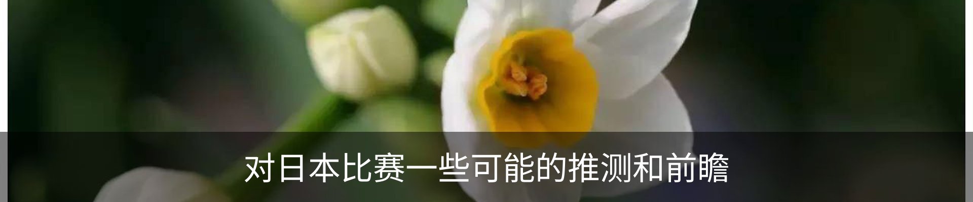新闻动态